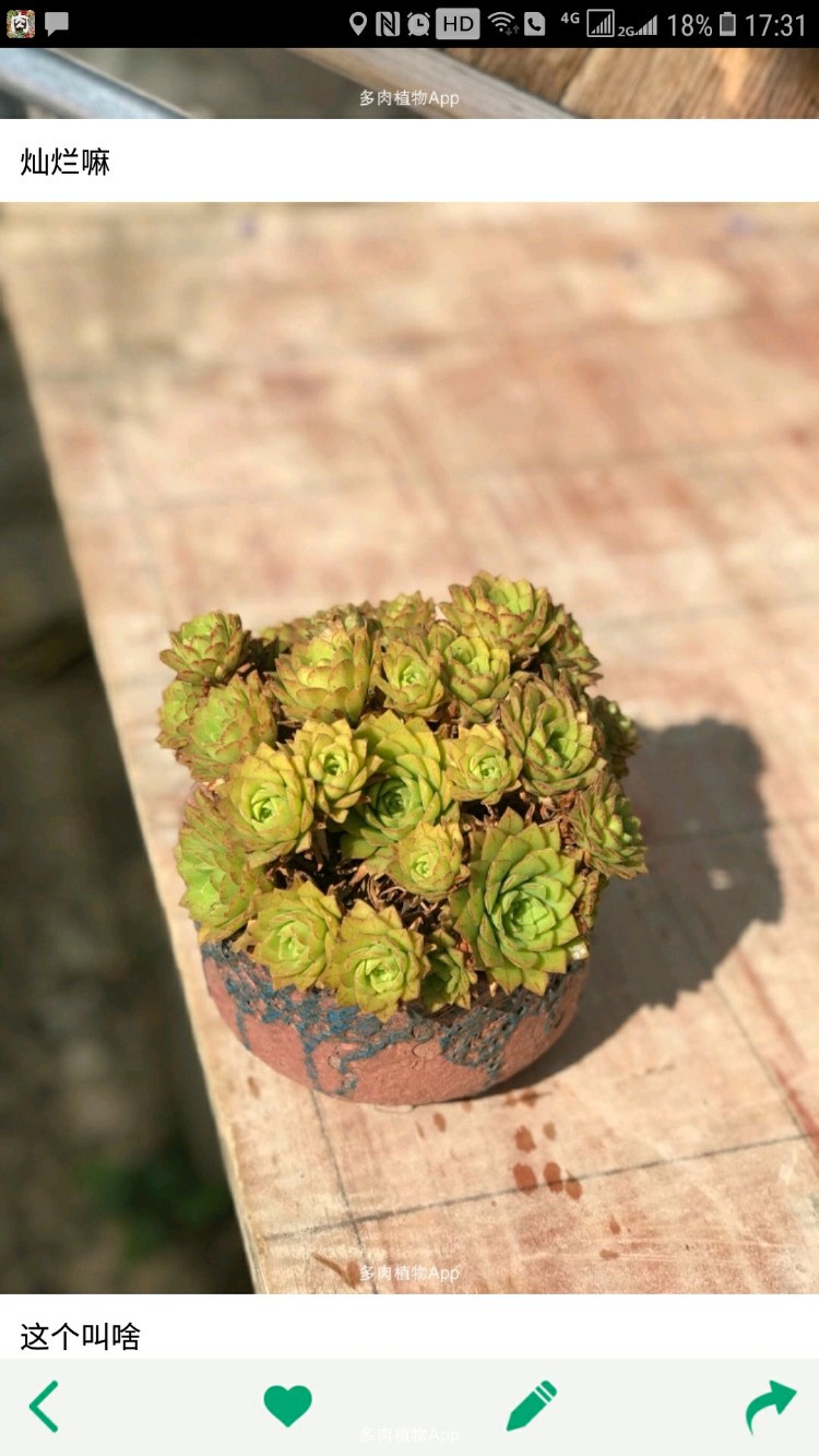 《Roommate2》收视率直线上升 家人相见场面分外感人【hth华体官方下载app】(图3) hth·华体