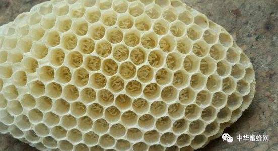 “hth·华体”因涉嫌性侵公司女员工 演员姜至奂被判缓刑(图3) hth华体官方下载app